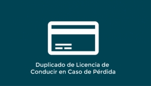 Duplicado de Licencia de Conducir en Caso de Pérdida